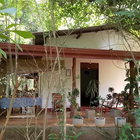 Thilina Homestay Sigiriya Zimmer foto