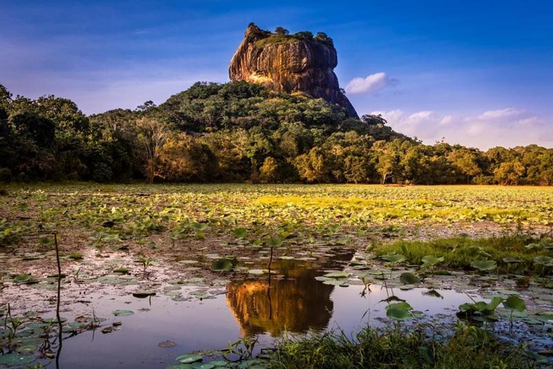 Thilina Homestay Sigiriya Exterior foto