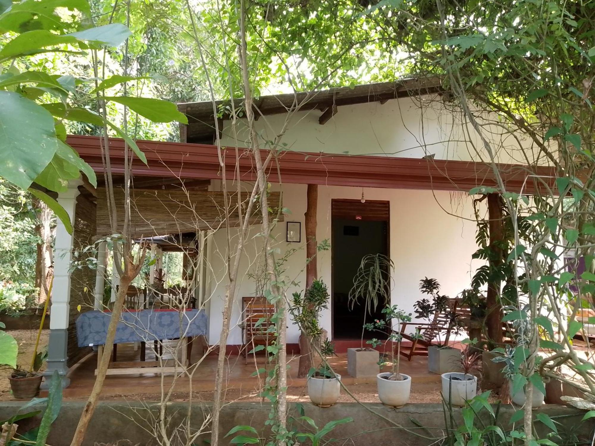 Thilina Homestay Sigiriya Zimmer foto